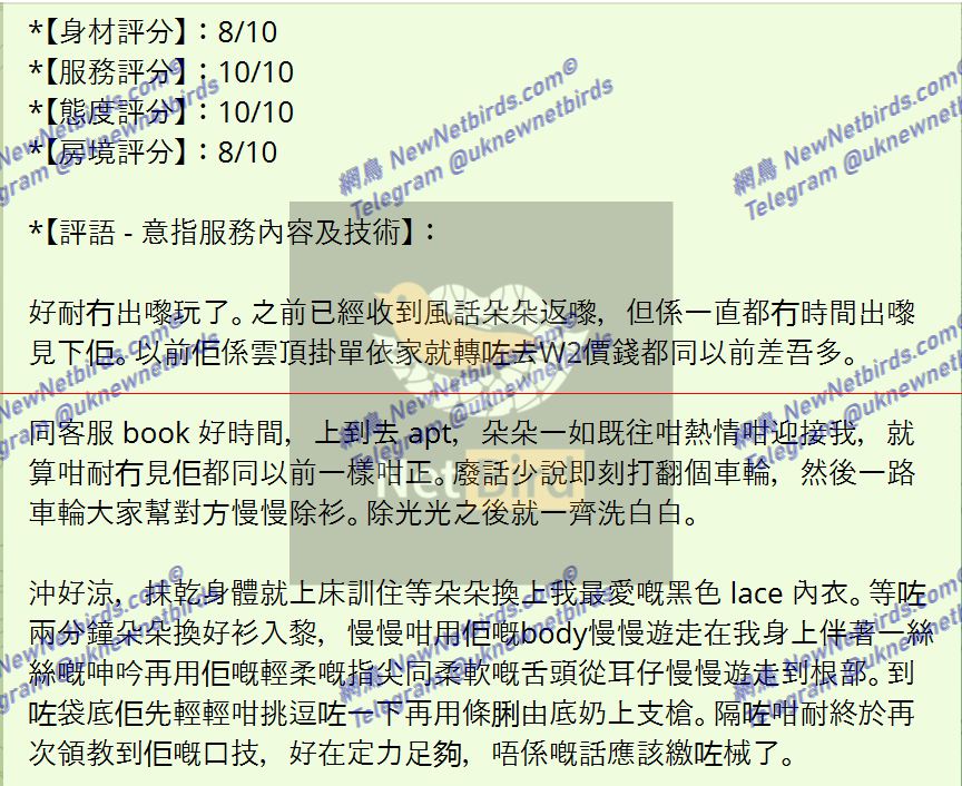 戰號 531 2.png
